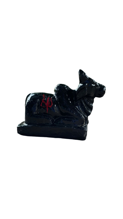 Black Nandi  (1.5Inch/2Inch)
